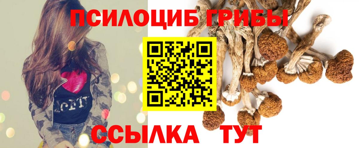Псилоцибиновые грибы Cubensis Тихвин
